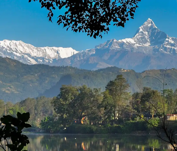A wide landscape photograph framing the snow-capped peak of Mount Machhapuchhre (Fishtail) and the Annapurna mountain range perfectly reflected in the calm waters of Phewa Lake in Pokhara, Nepal.