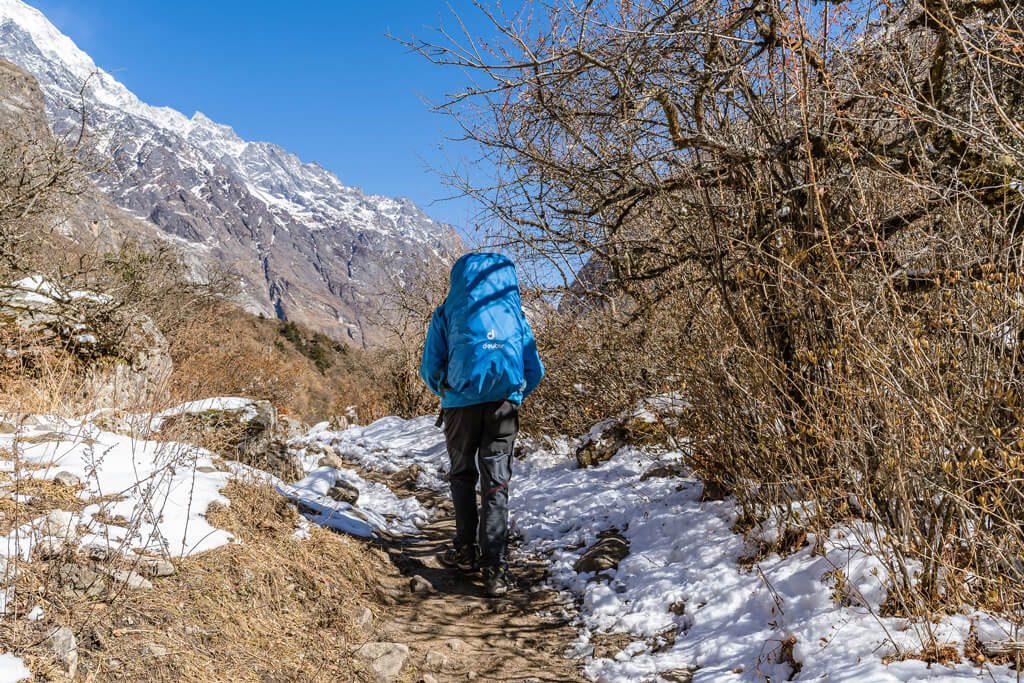 Trekker in Langtang Valley