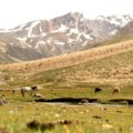 Limi Valley Trekking