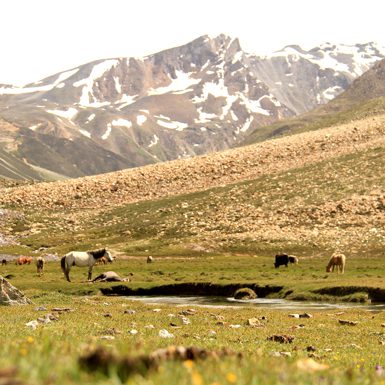 Limi Valley Trekking: A threatened Shangri-La for nature and wildlife