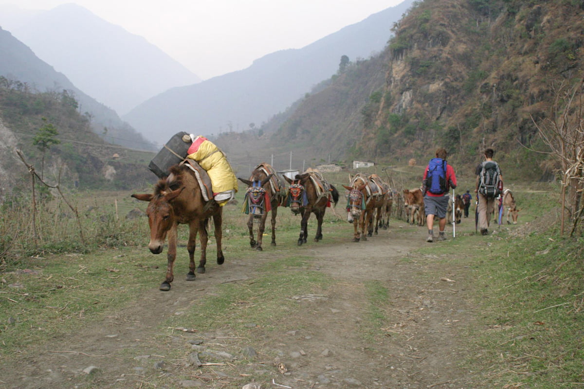 Trekker on the way to Annapurna Circuit Trek