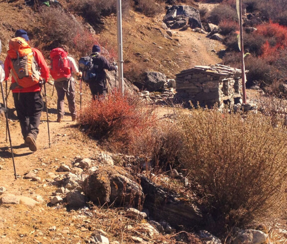 Langtang Valley Yoga Trek
