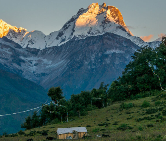 Vaginaga kiritilgan narsalarning fotosuratlari Erkak porno jinsiy aloqa paytida farts