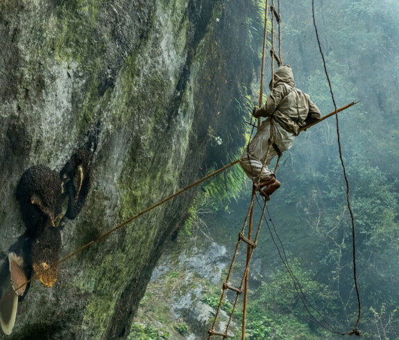 The Mad Honey Hunter in Nepal