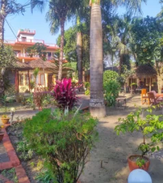 Chitwan Jungle Safari