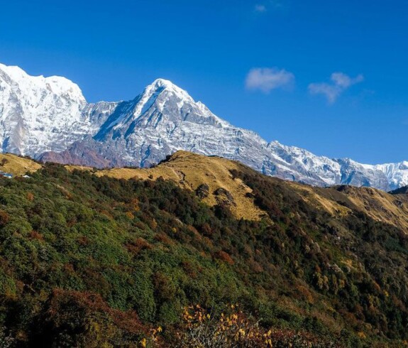 Panoramic View of Mardi Himal