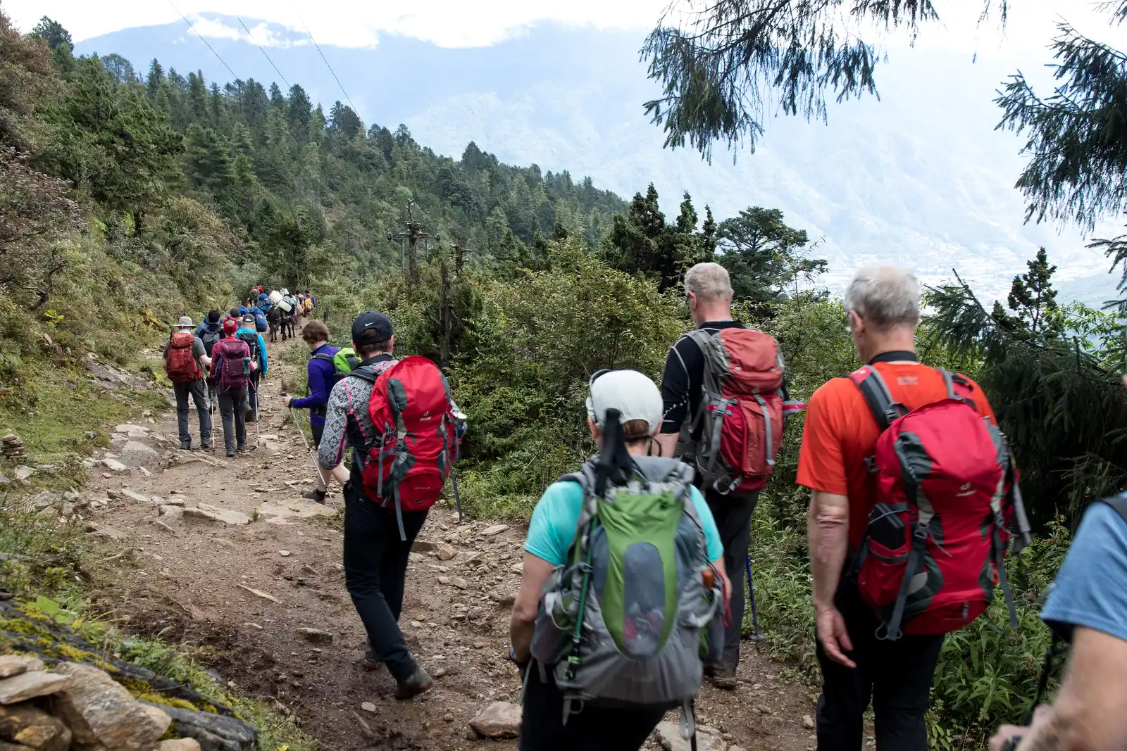 On and around Nepal Tour and Druk Path Trek Bhutan