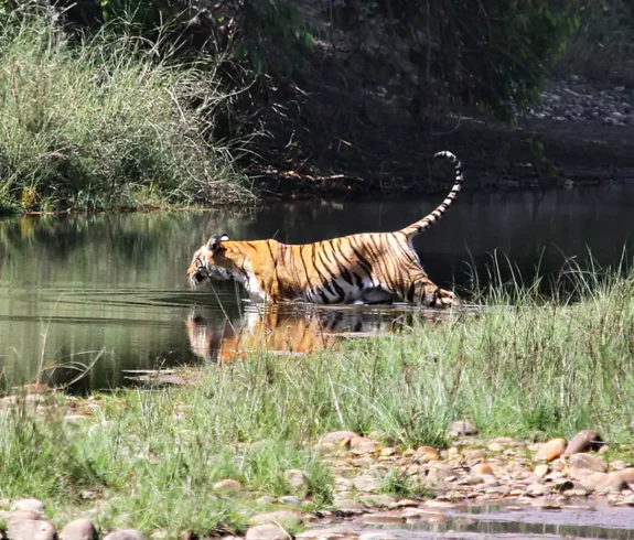 Onam bilan jinsiy aloqa qilish qiyin