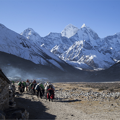 Pheriche – a small village lap of Ama Dablam