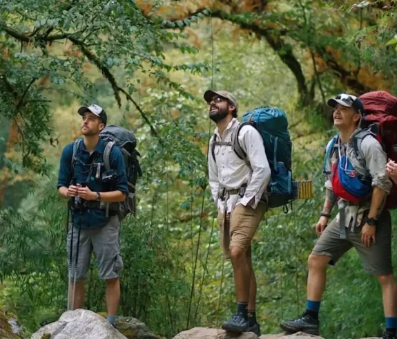 A group of hikers exploring the lush, green trails of Langtang Valley with backpacks and trekking poles.