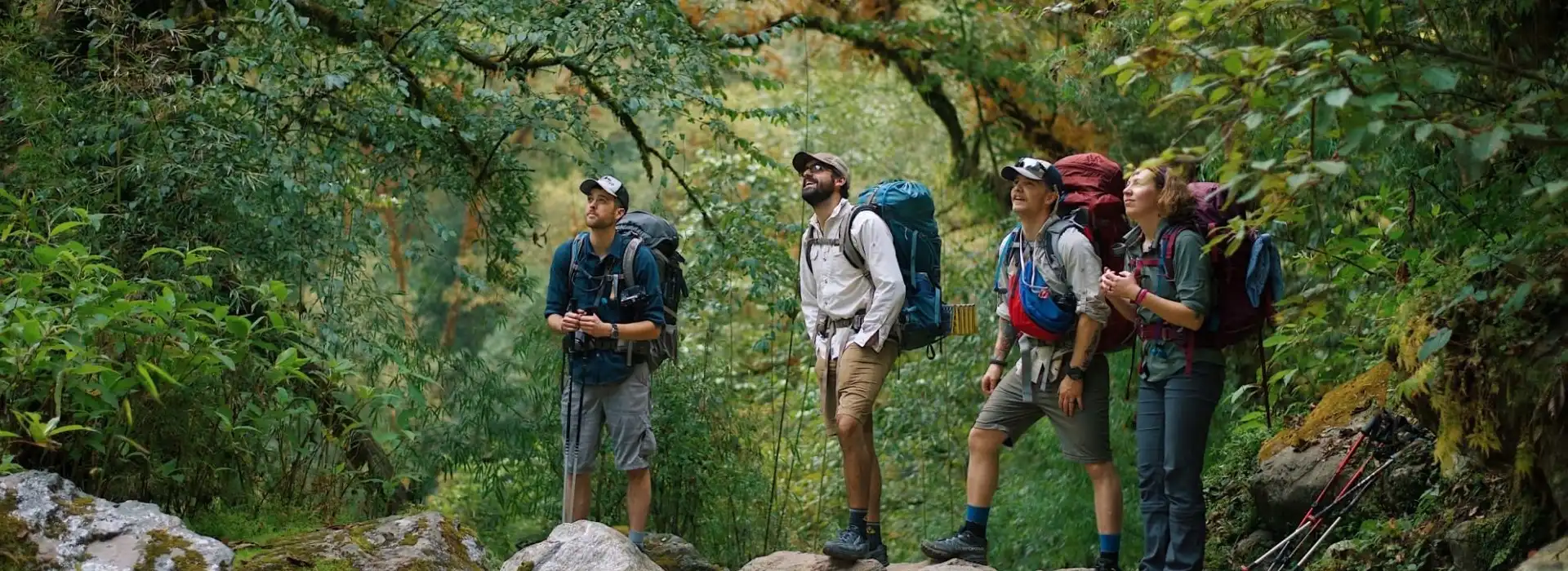 A group of hikers exploring the lush, green trails of Langtang Valley with backpacks and trekking poles.