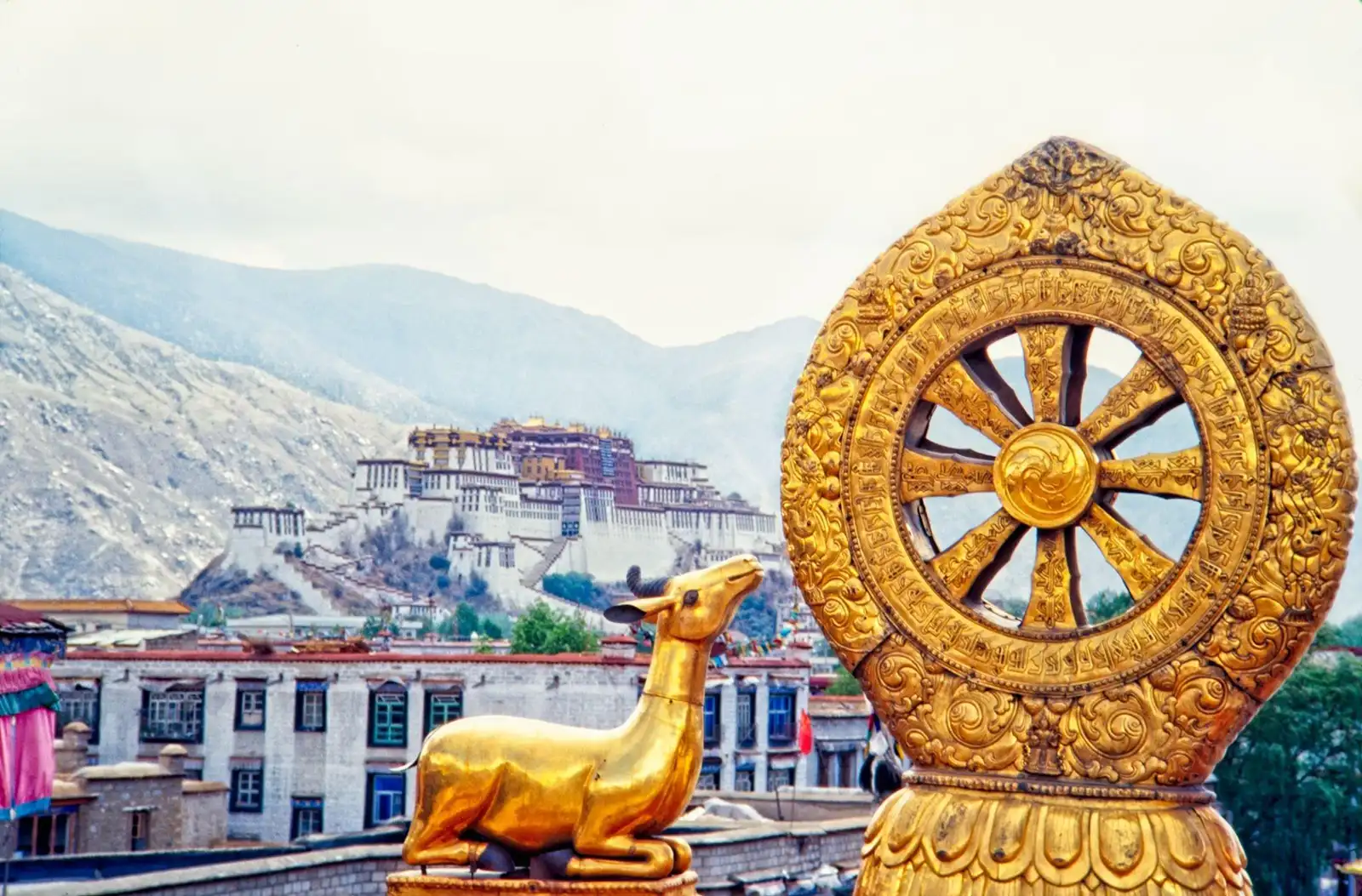 Golden dharma wheel and deer sculptures at the Jokhang Temple in Lhasa