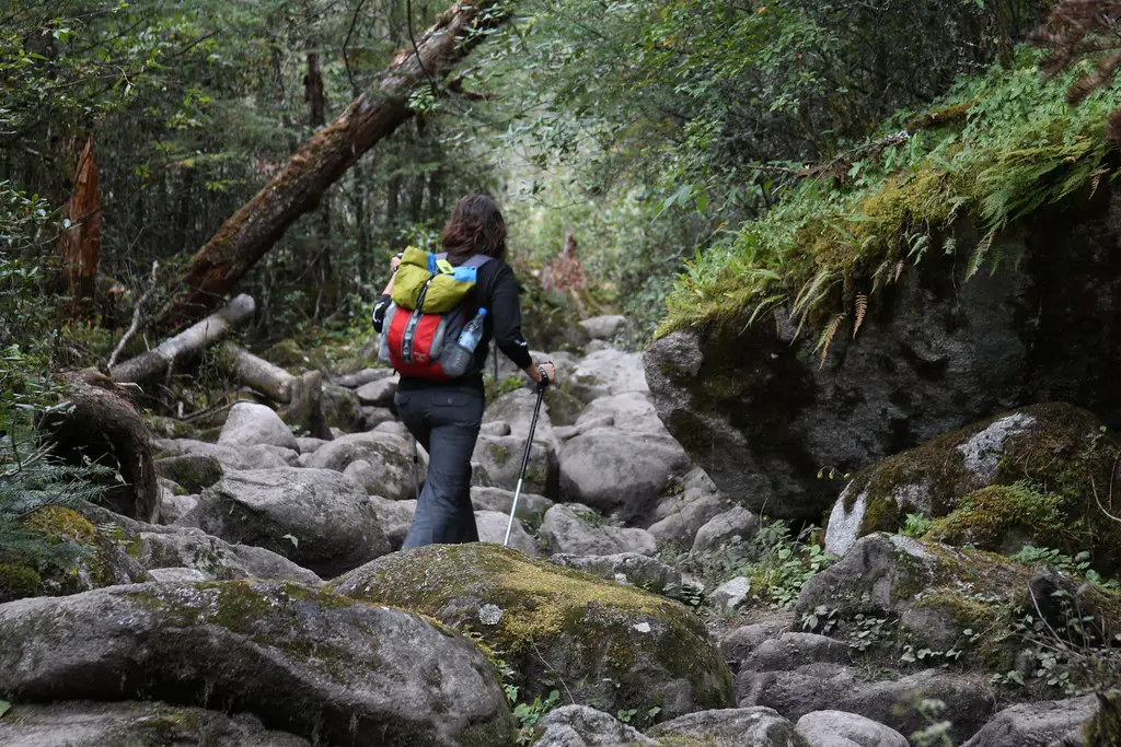 Trekker on the way to Jomolhari Base Camp Trek Bhutan