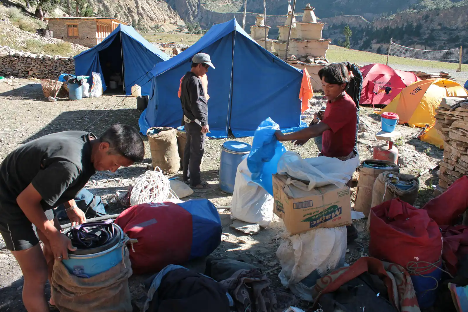 Porters packing foods