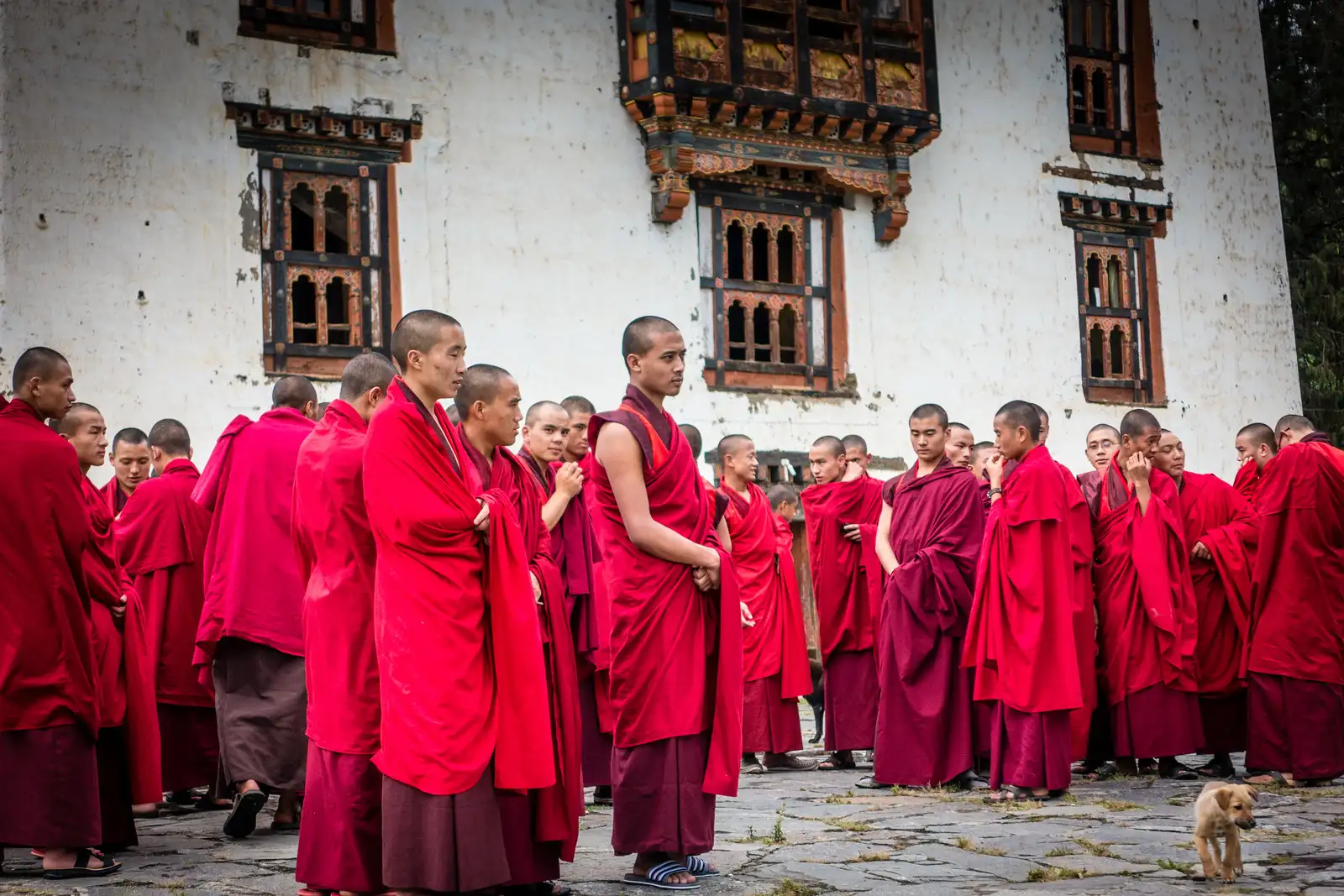 Pangri Zampa Astrology Monastery, Thimphu