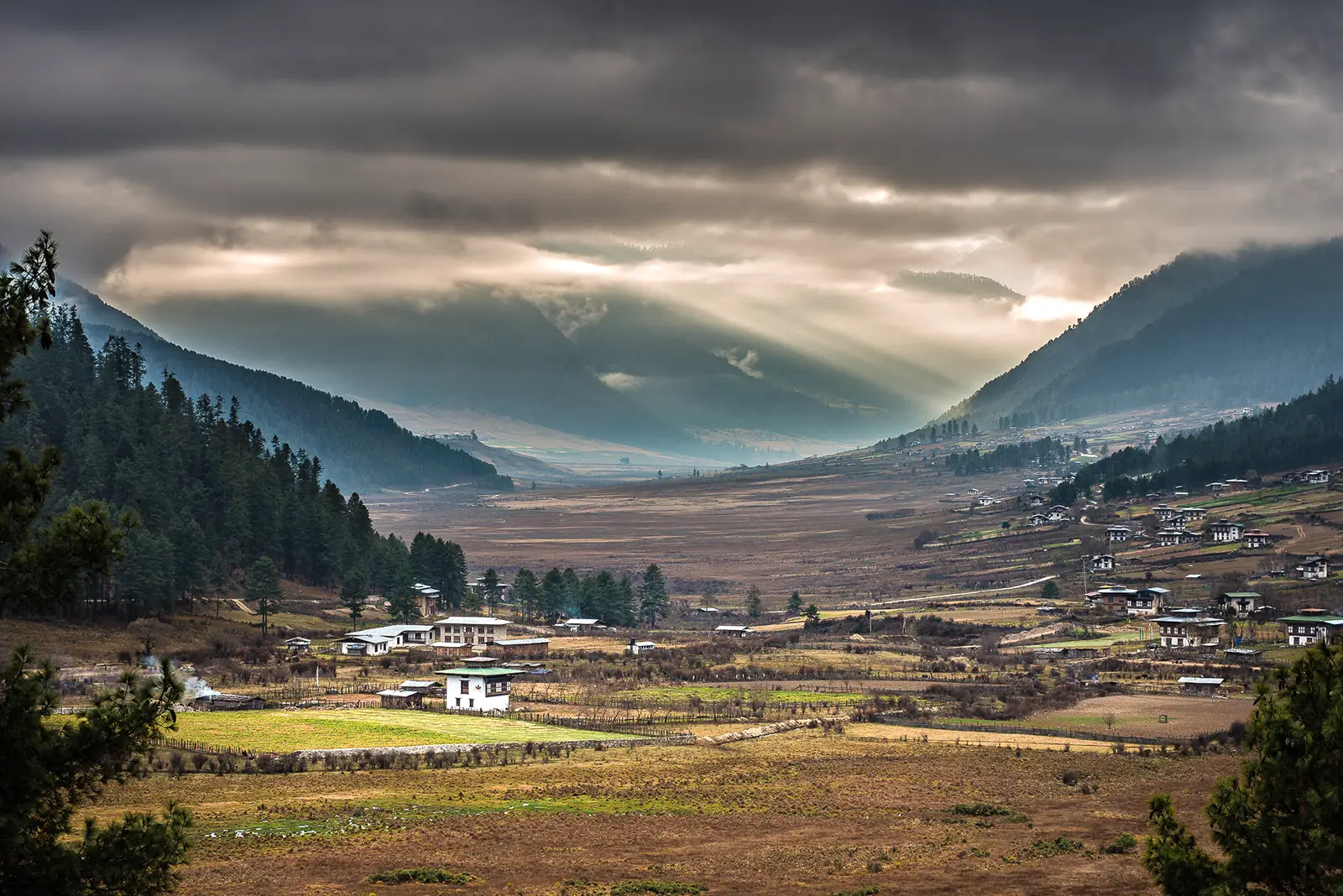 Phobjikha Valley in Bhutan, home to Black Neck Cranes, is nestled near the quaint village of Gangtey.