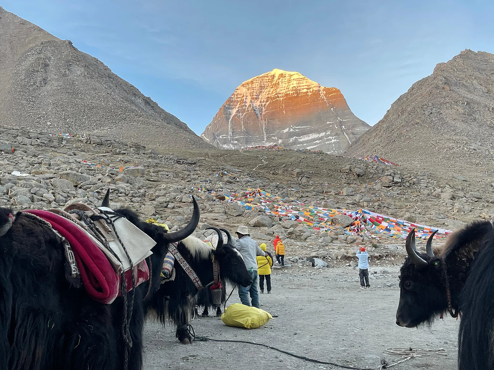 Yaks in Dirapuk