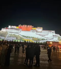 Night view of the illuminated Potala Palace in Lhasa, Tibet, with a crowd of people gathered in the foreground.