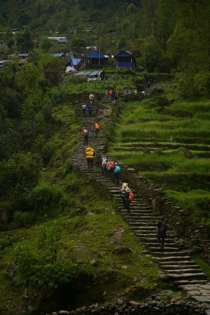 On the trek