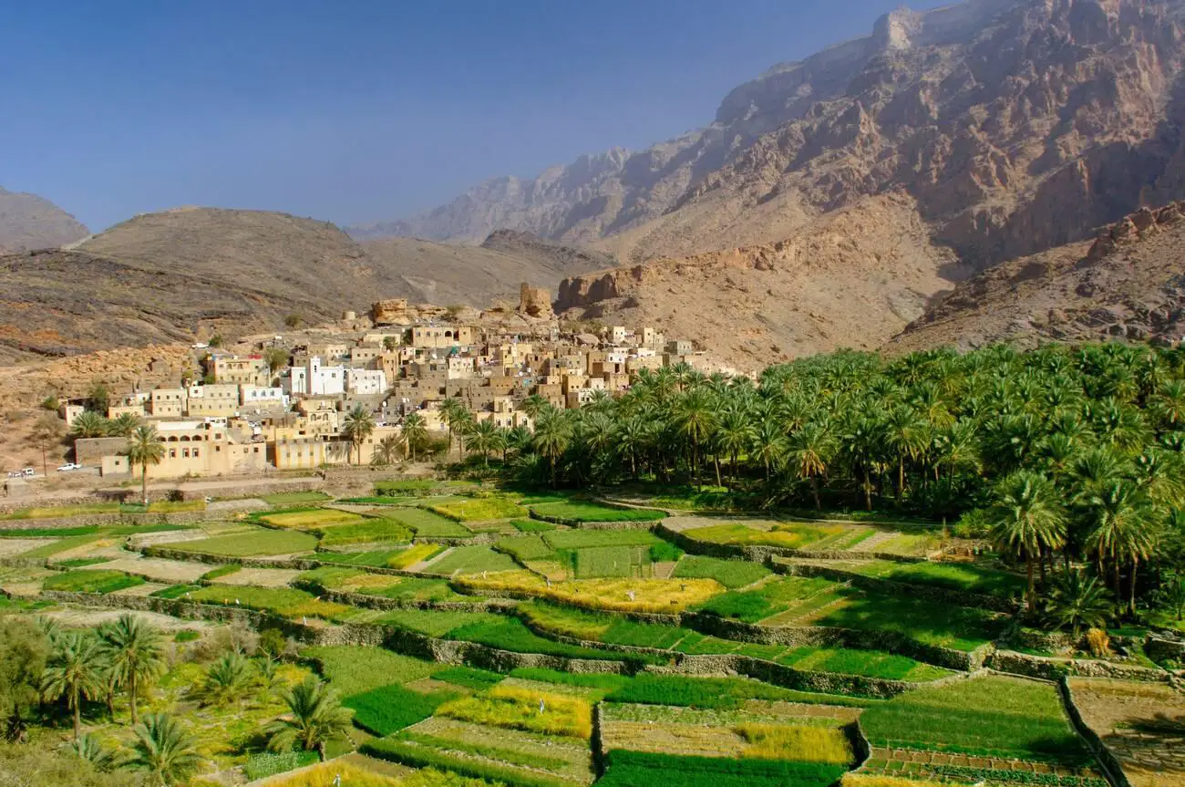 The village of Bilad Seet surrounded by green plantations in Wadi Bani Auf, set against the rugged Jebel Akhdar mountains of Oman.