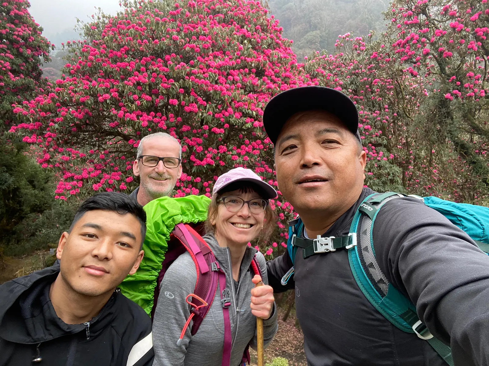 Ghorepani Poon Hill Trek