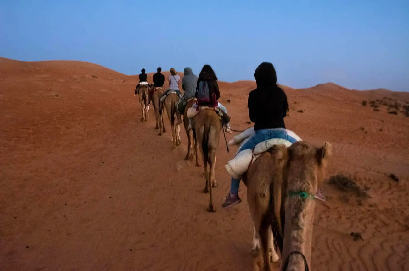 Group of tourists ride dromedaries at dawn in the desert dunes