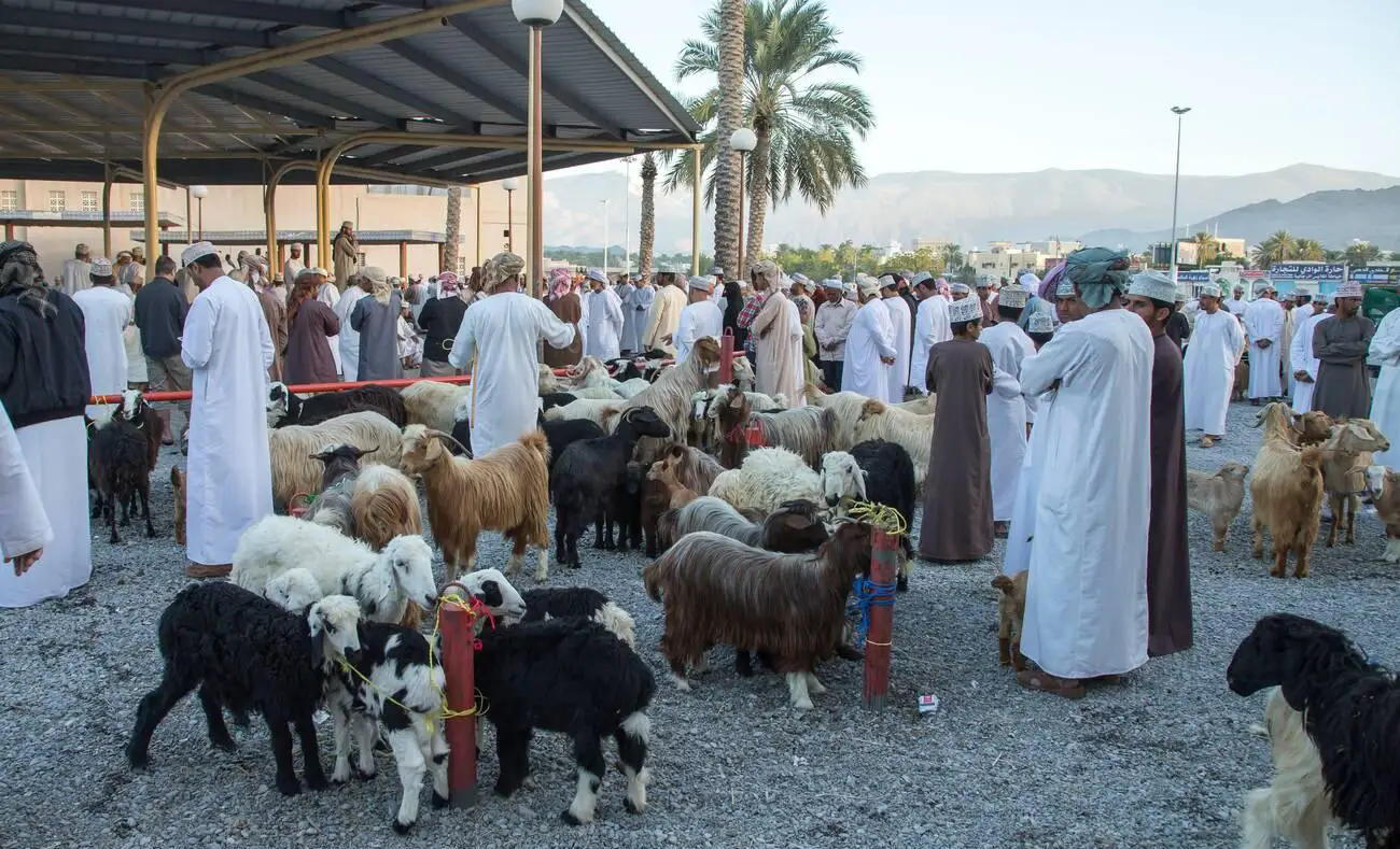 Old Nizwa goat market