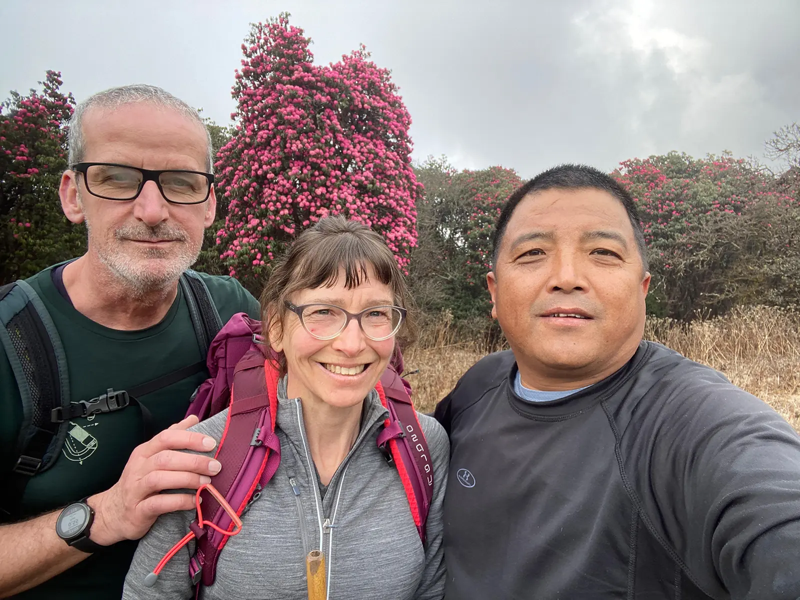 On the way to Poon Hill