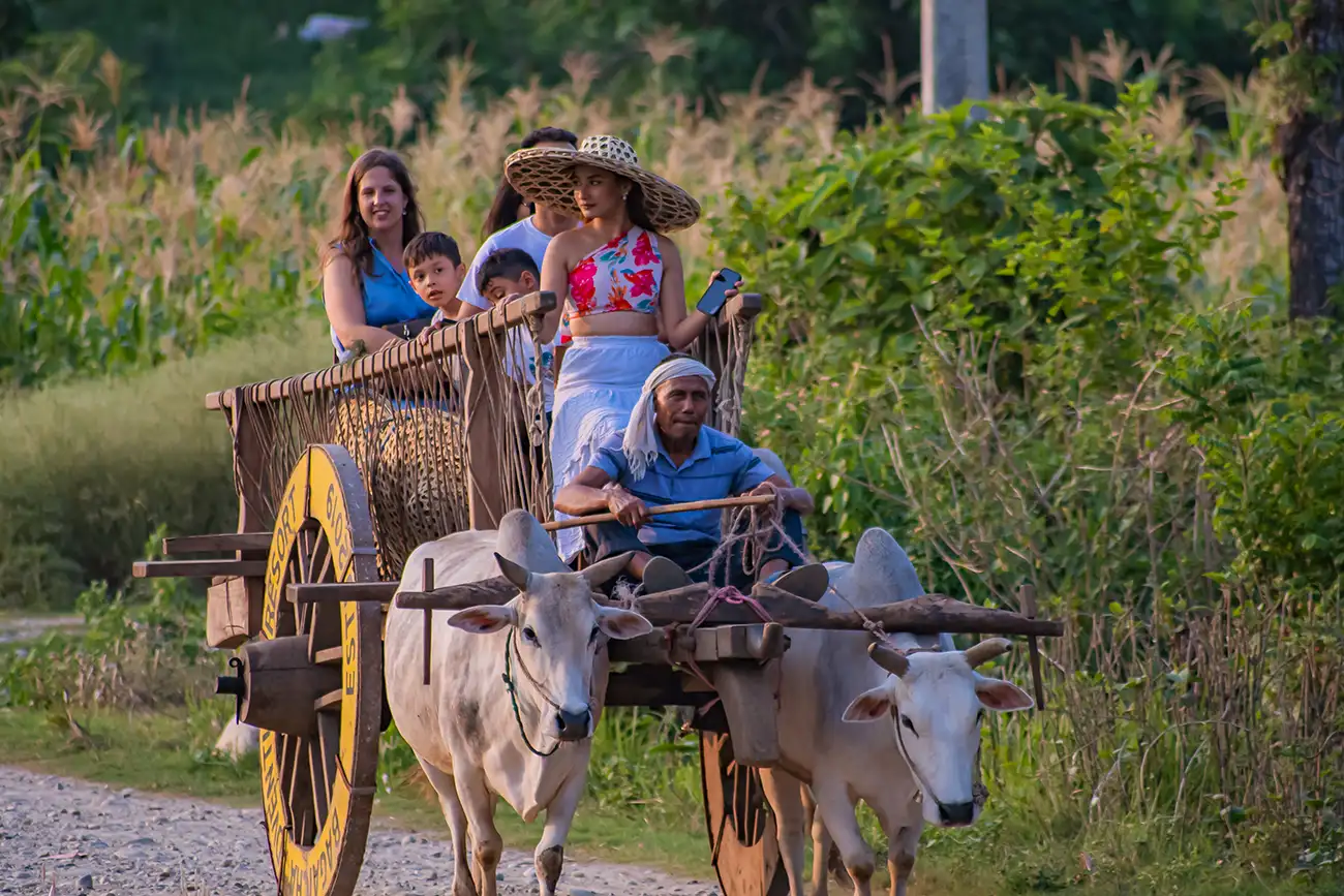 Ox Cart Ride