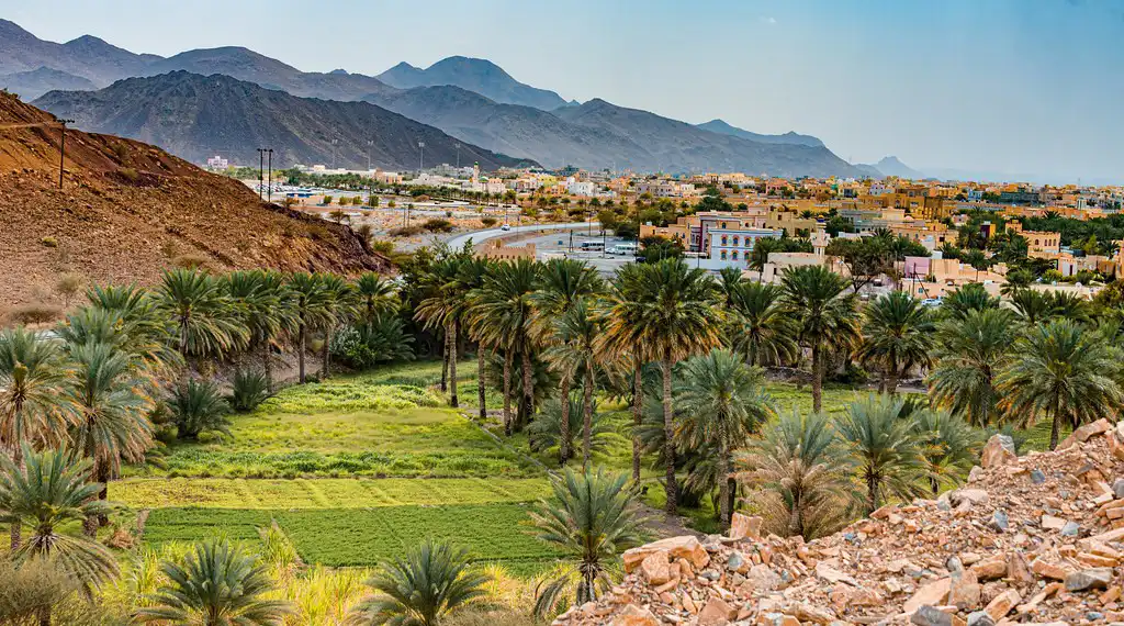 Panoramic view of Al Hamra Town, Oman, showing a lush green oasis surrounded by palm trees with traditional ochre-colored buildings and distant mountains.