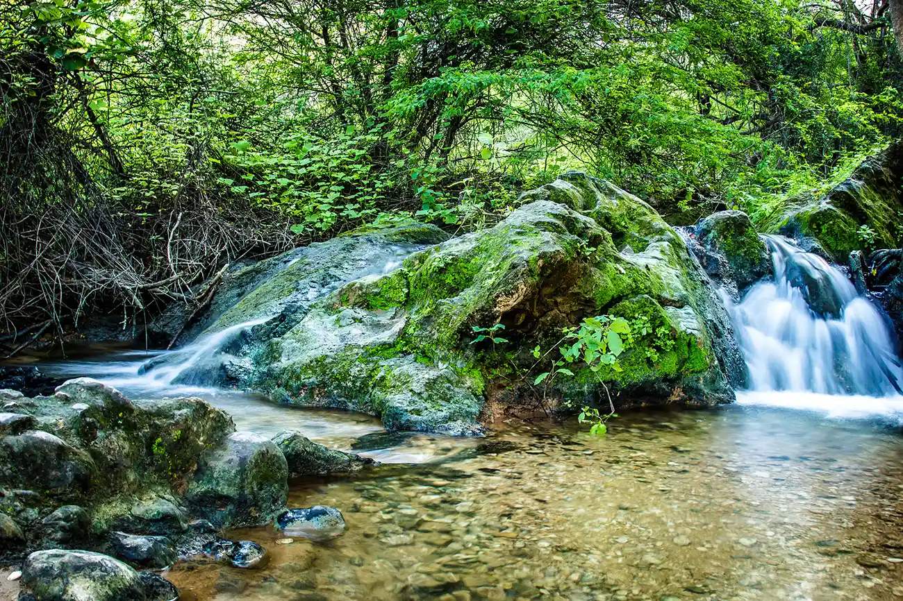 Small waterfall cascading over moss-covered rocks at Ayn Hamran during the Khareef season in Oman.