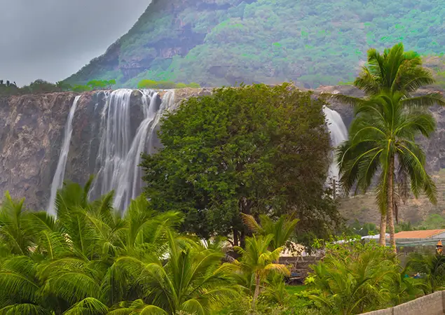 Exploring the Khareef Season in Oman: Salalah’s Tropical Transformation