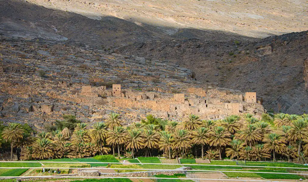 Ancient stone ruins of Ghul Village built into the rocky hillside, surrounded by lush palm groves and terraced fields in Jebel Shams, Oman.
