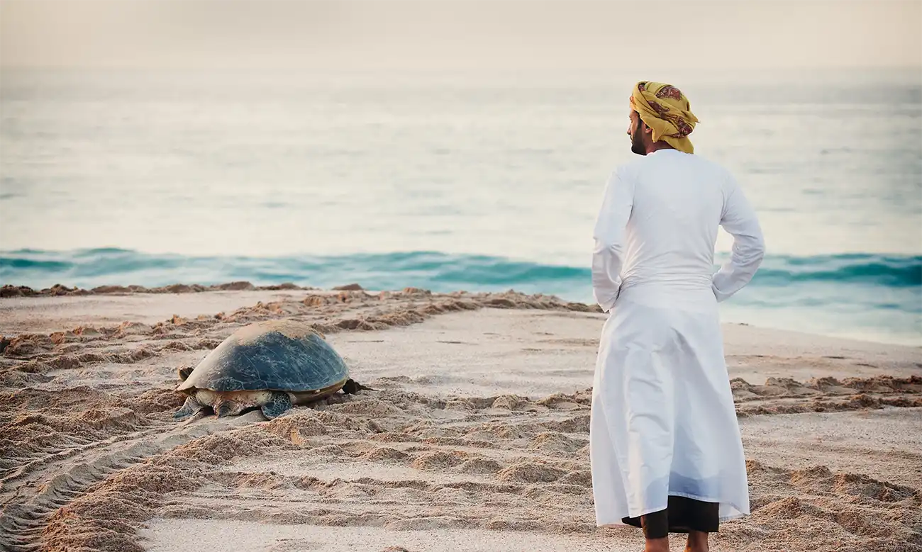 A man observing a turtle on the sandy beach of Ras al Jinz Turtle Reserve just before sunrise.