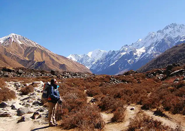 Exploring Langtang National Park: A Haven for Trekkers, Photographers, and Nature Lovers