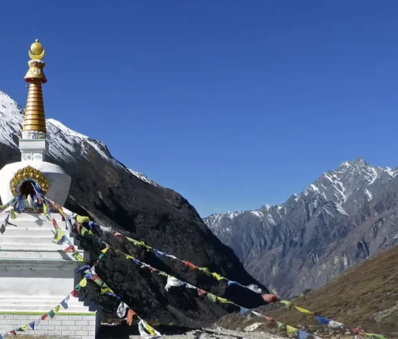Stupa at Kyanjin Gompa in Langtang National Park with snow-capped Himalayan mountains in the background.