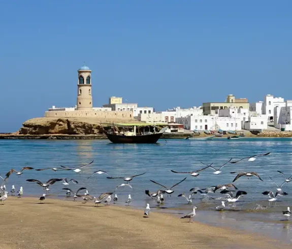 Birds flying over a sandy beach with a traditional dhow and historic buildings in the background in Sur, Oman.