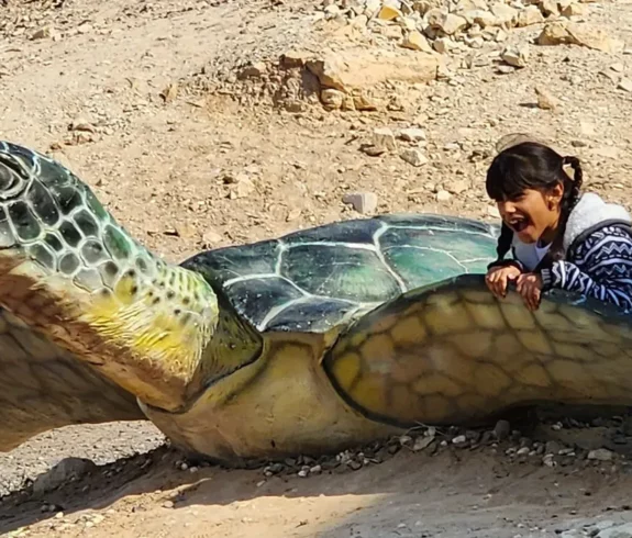Ras Al Jinz Turtle Reserve