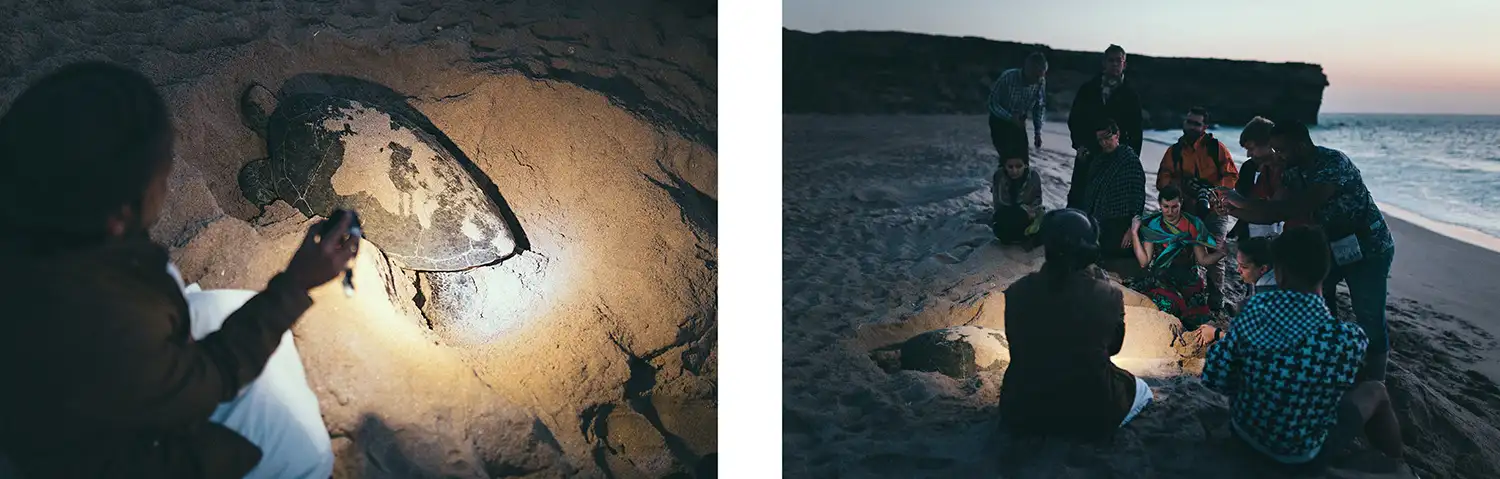 Turtles Reserve in Ras Al Jinz at night