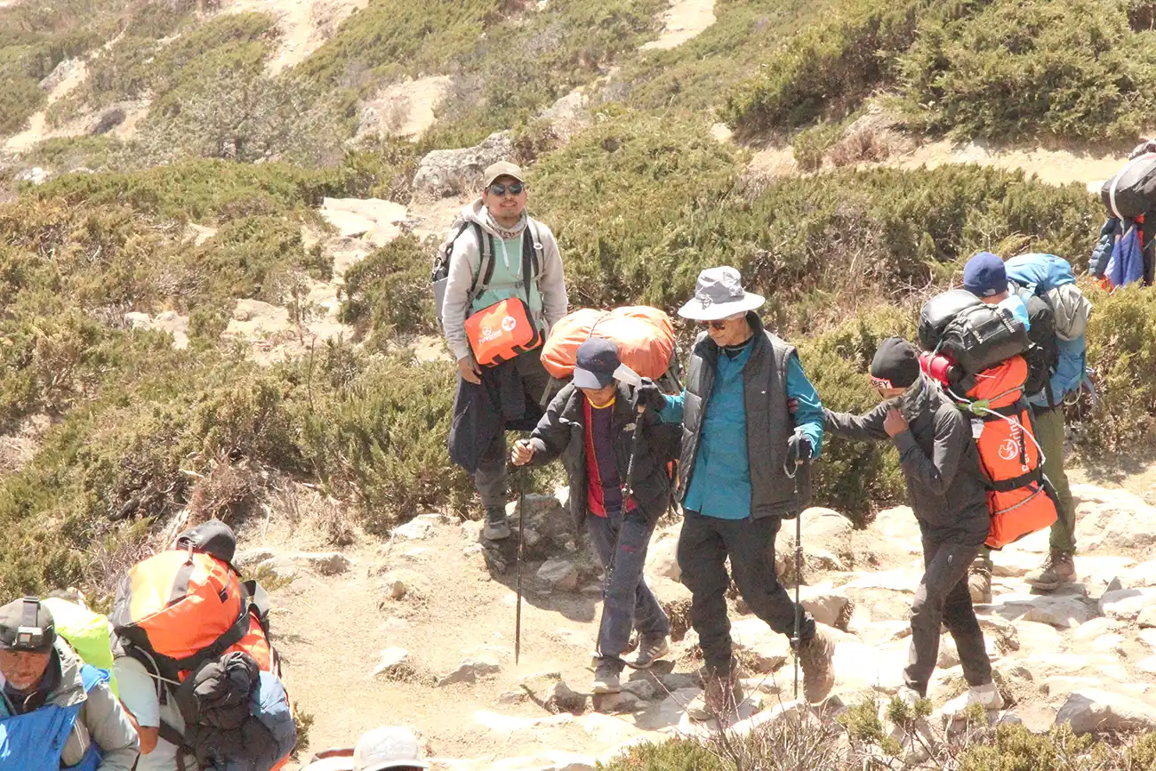 Guide and Support Staff