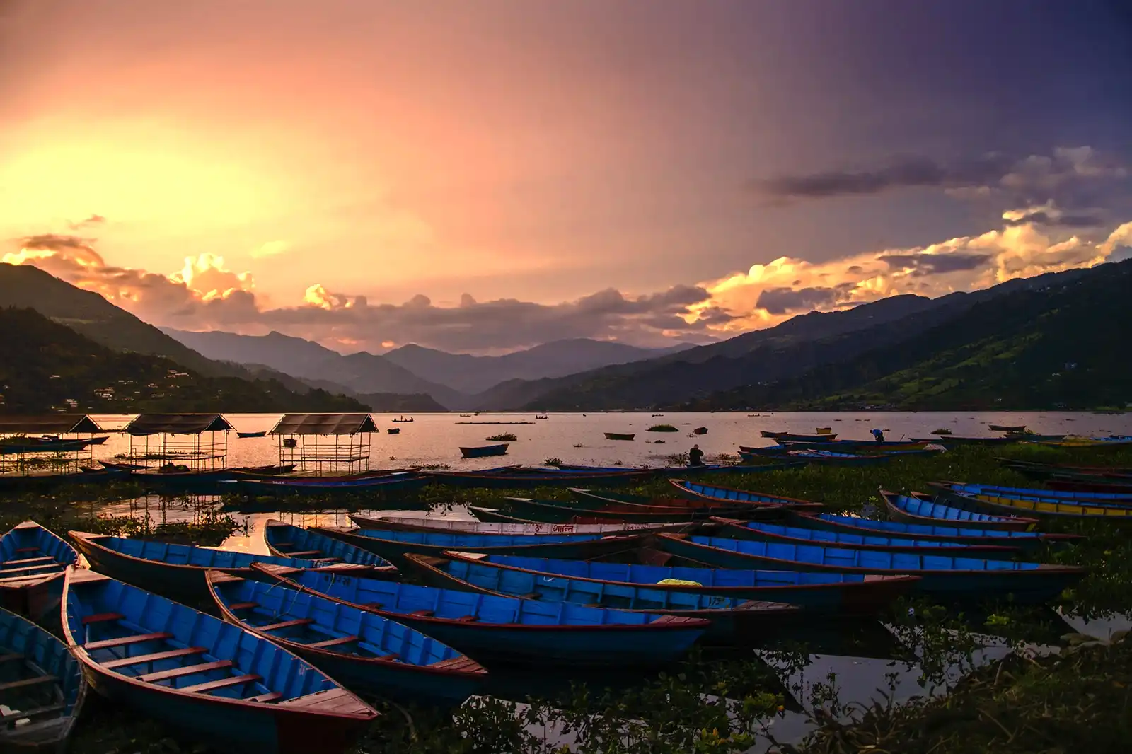 Dozens of blue wooden boats moored at Phewa Lake in Pokhara during a vibrant golden hour sunset against silhouetted mountains.