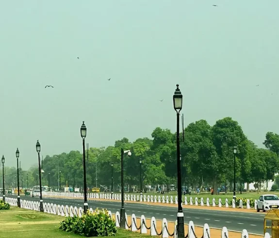 A wide view of India Gate visible in the distance, framed by lush green lawns with red flowers and a tree-lined avenue (Kartavya Path) with lampposts, under a hazy sky in New Delhi.