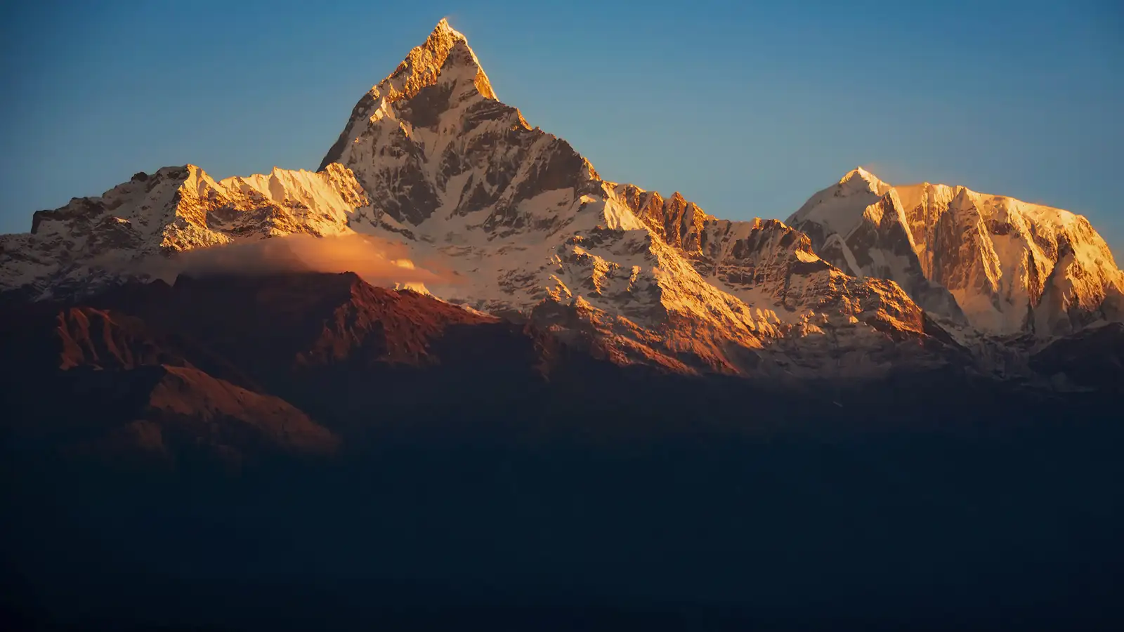 The iconic double-summit of Mount Machhapuchhre (Fishtail Peak) in the Annapurna range illuminated by the golden light of early morning sunrise against deep shadows.