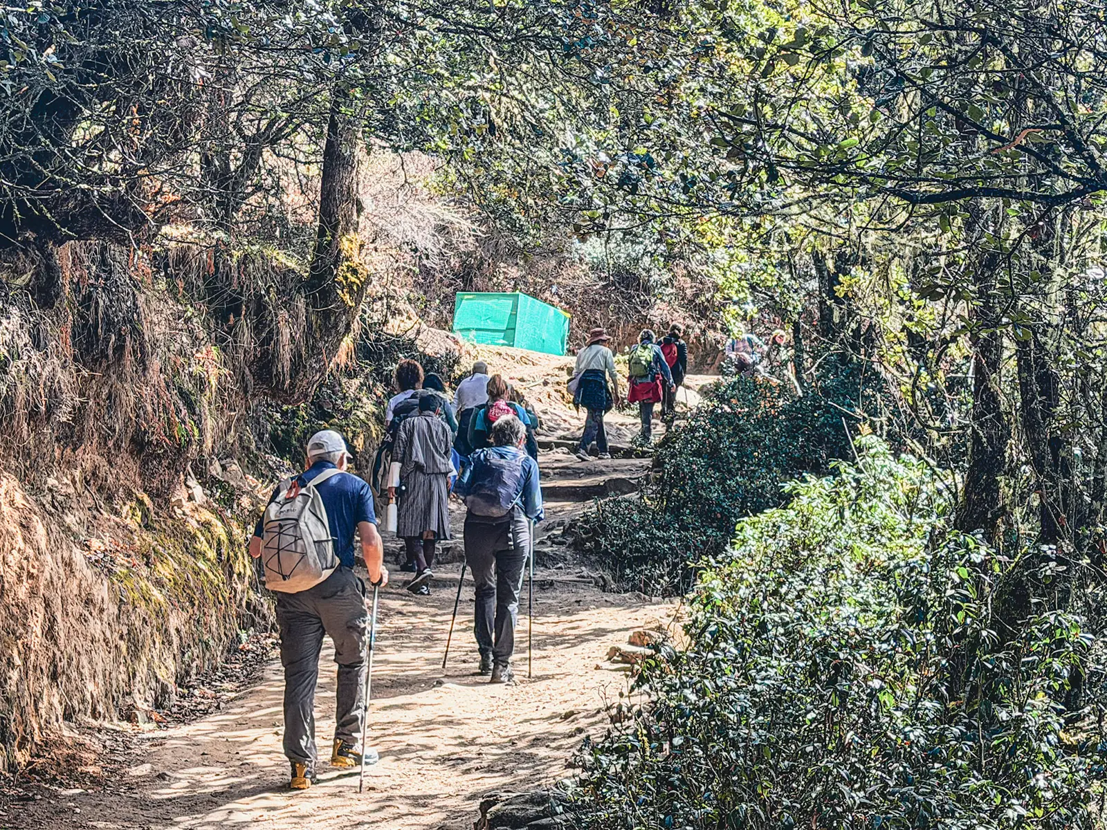 Hikers with trekking poles on the forested trail to Paro Taktsang Tiger's Nest Monastery