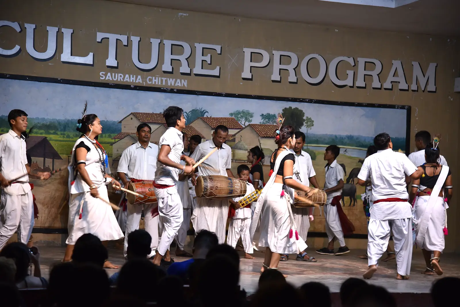 Tharu performers in traditional white attire dancing to live drum music during a cultural program in Sauraha, Chitwan, Nepal.