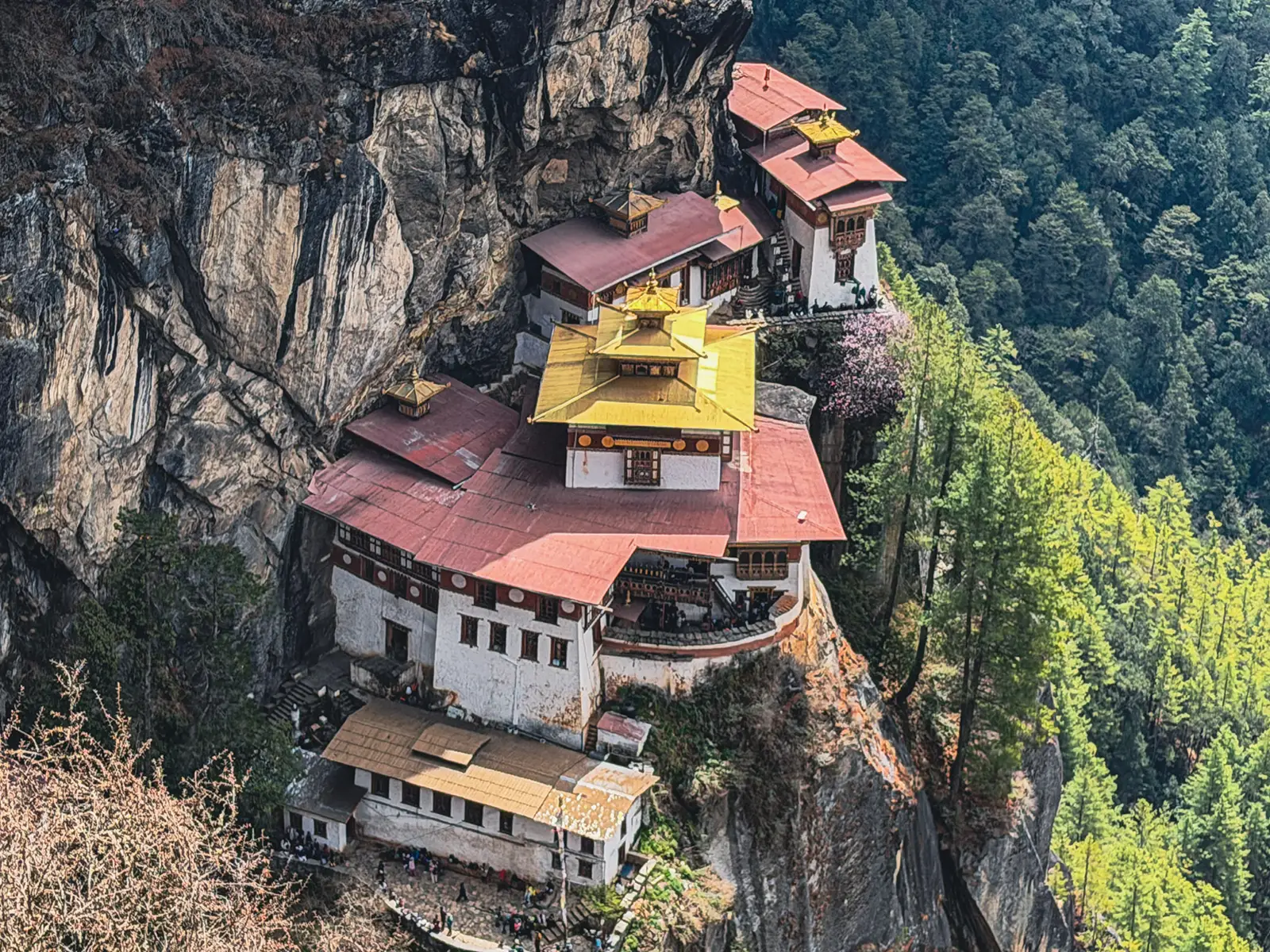 Aerial view of Paro Taktsang Tiger's Nest Monastery from above showing gold rooftops and cliff edge