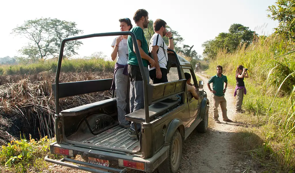 Tourists stand in an open safari jeep on a dirt track in Chitwan, Nepal, watching wildlife in tall grass and forest surroundings.