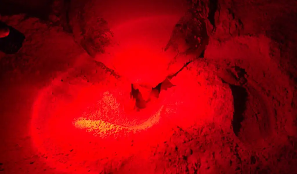 Green sea turtle nesting area under red light at Ras Al Jinz Turtle Reserve in Oman during a night turtle watching experience.