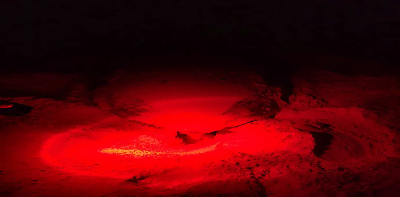 Red light illuminating a nesting sea turtle at Ras Al Jinz Turtle Reserve in Oman.