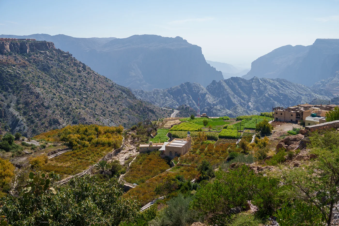 The Emerald Terraces of Jabal Akhdar